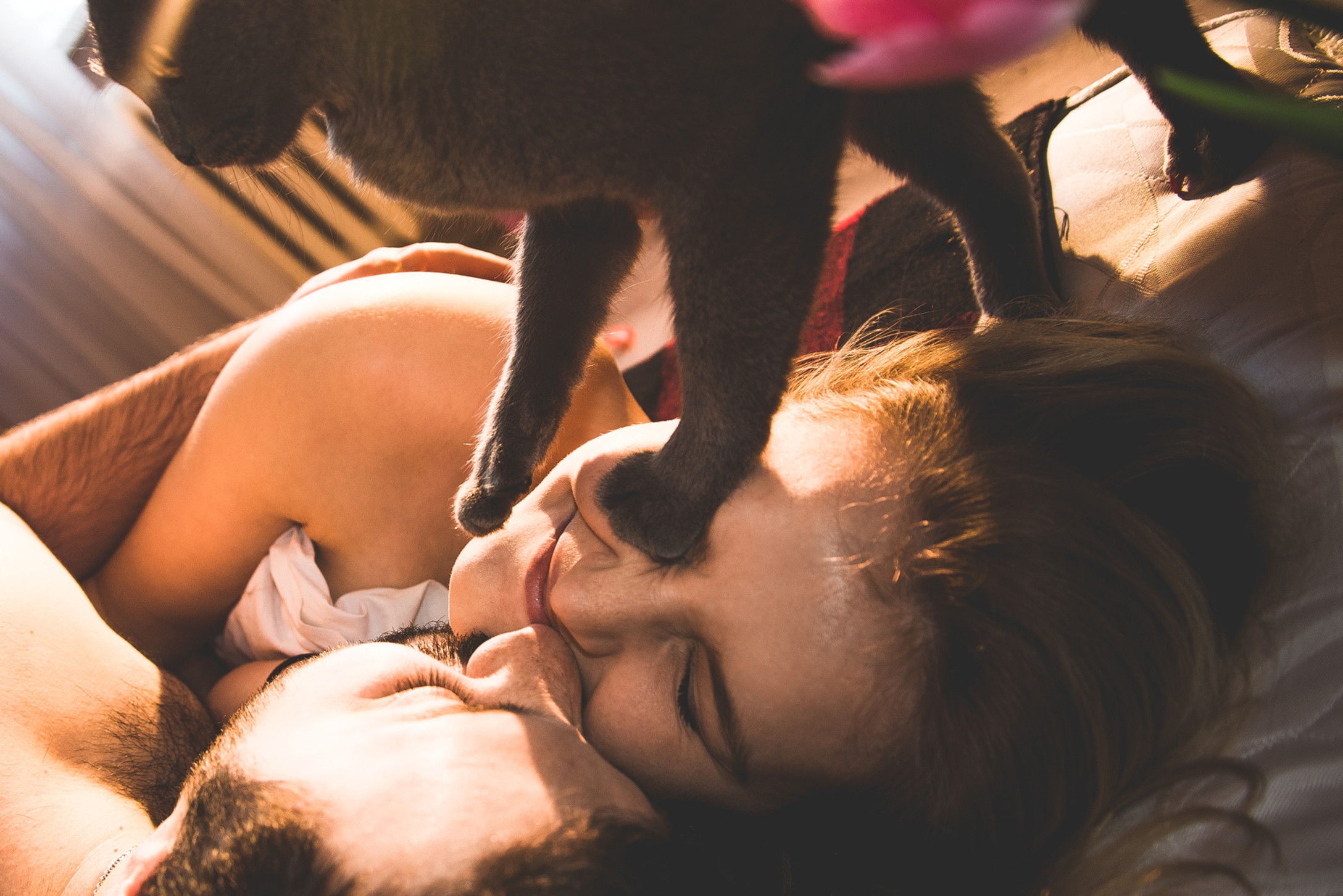 cat-love_t20_8Br6J6.jpg