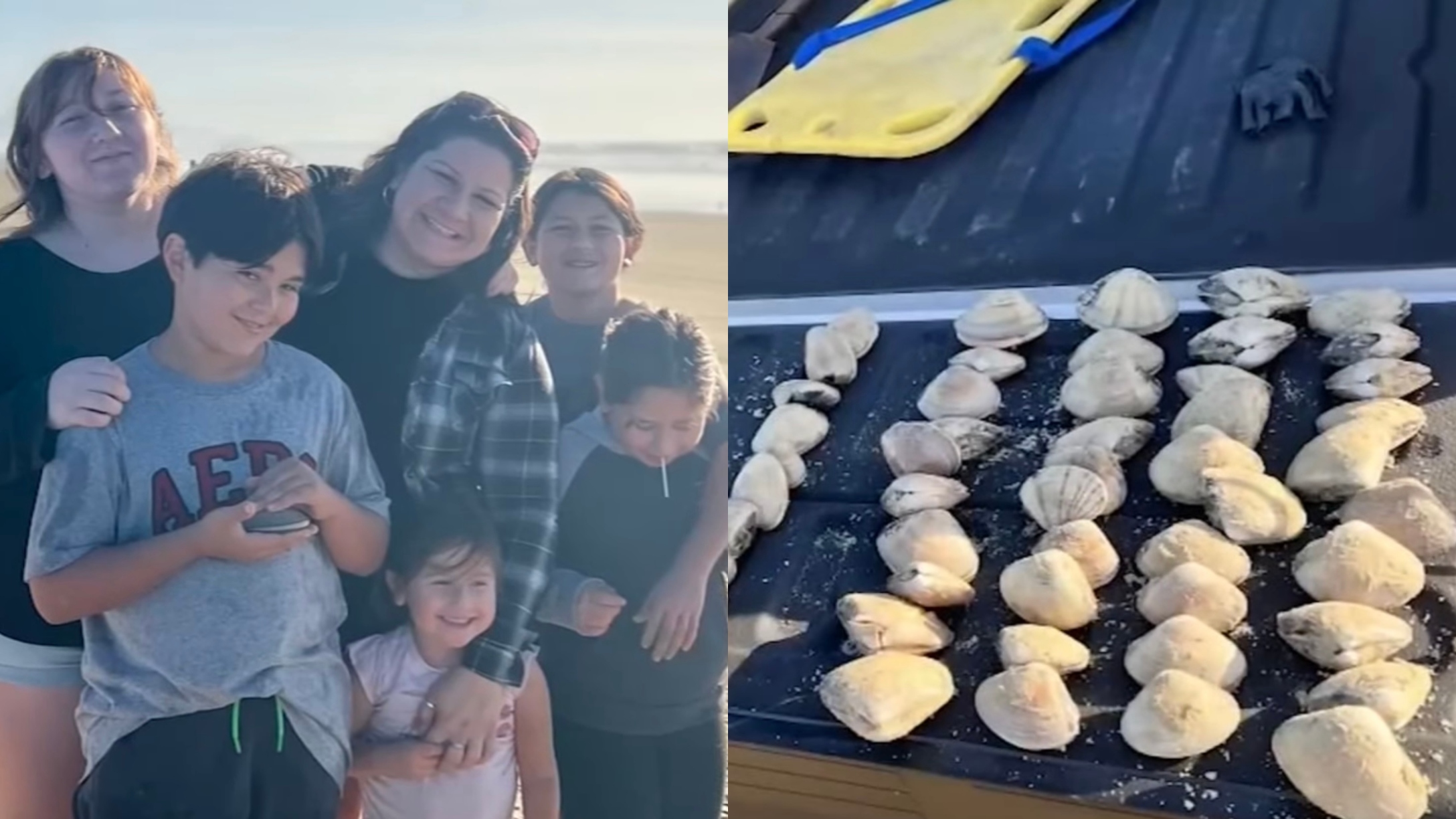 Charlotte Russ california clams fine