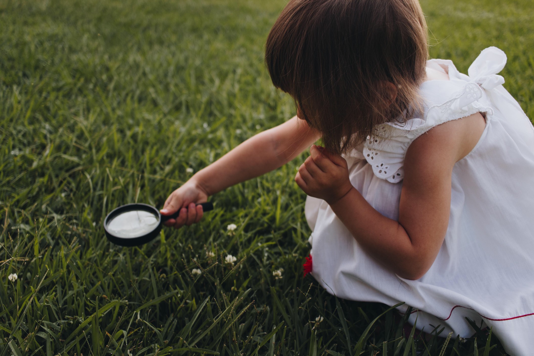 child-exploring-nature-with-a-magnifying-glass_t20_kRbLz2.jpg