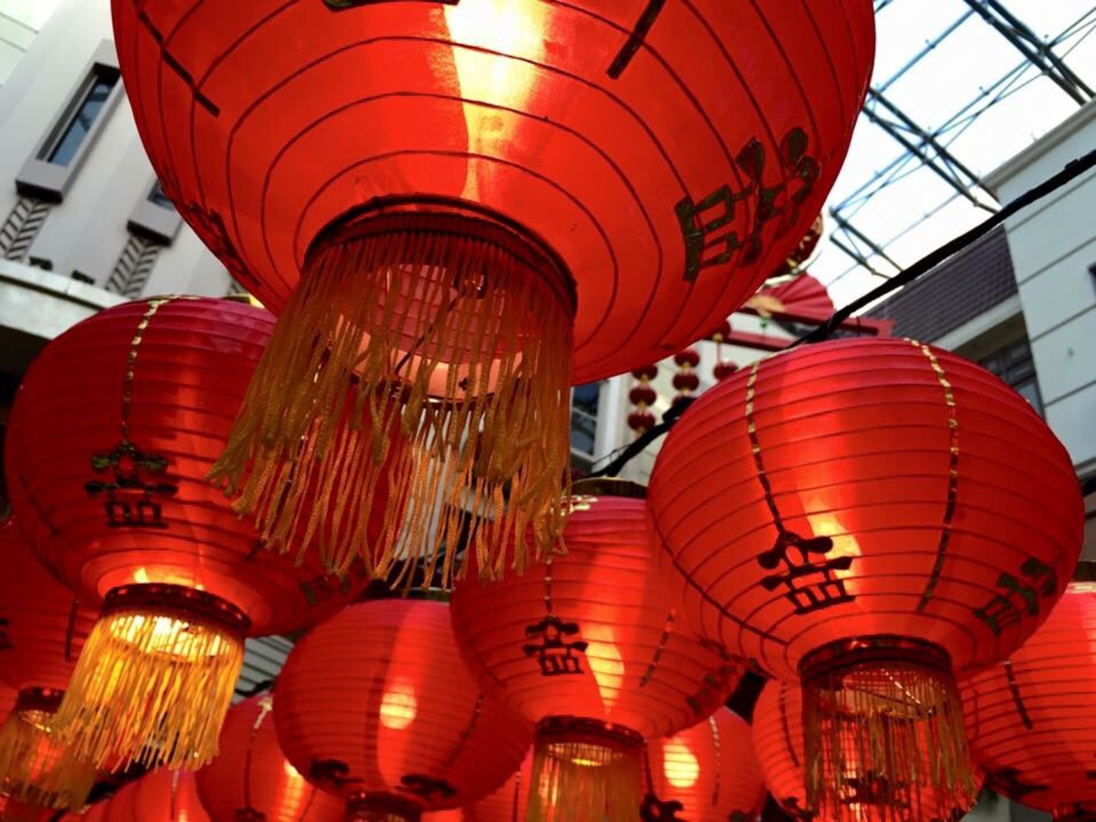 chinese-new-year_t20_lWgGnk.jpg