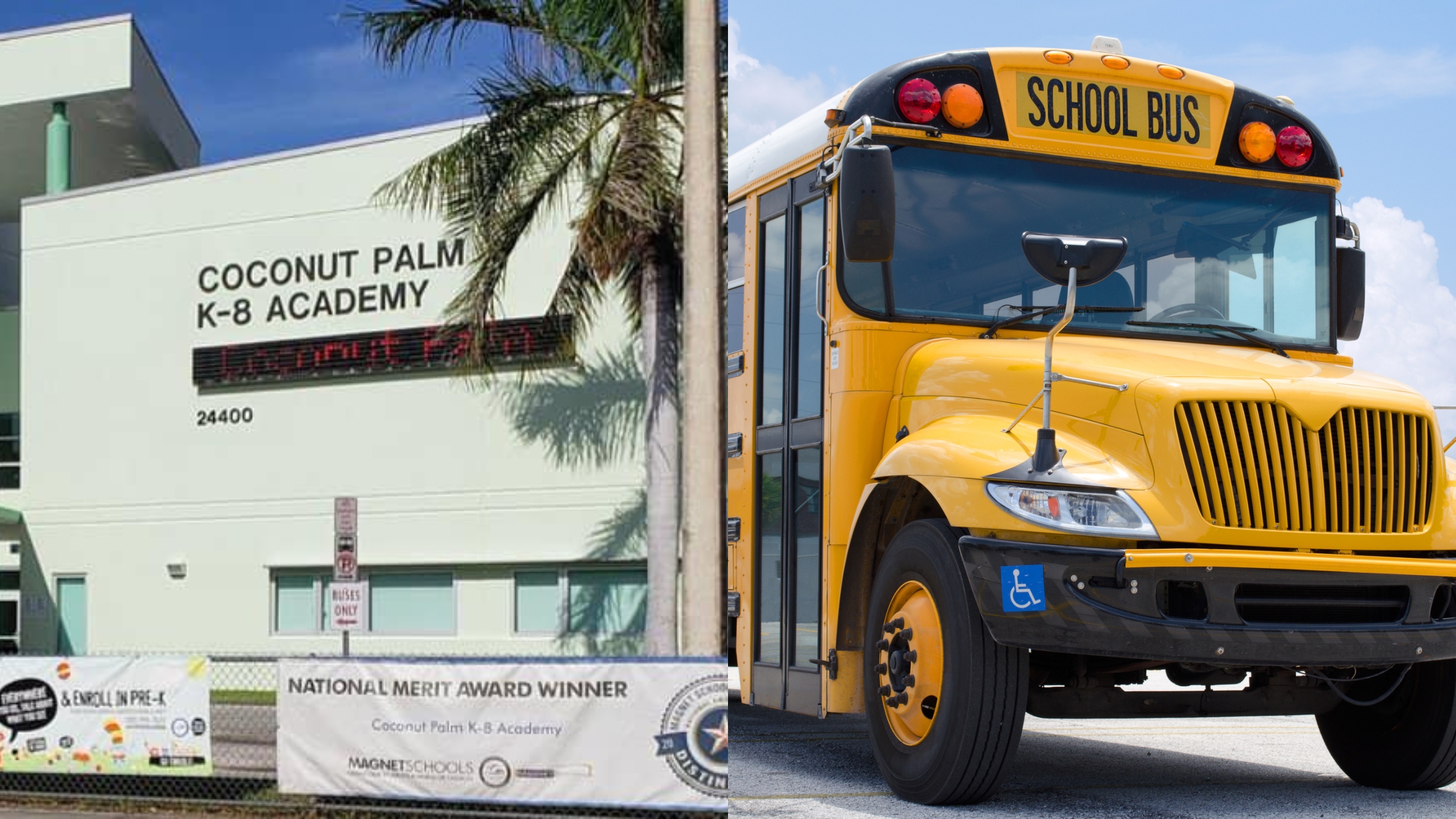 coconut palm k-8 academy