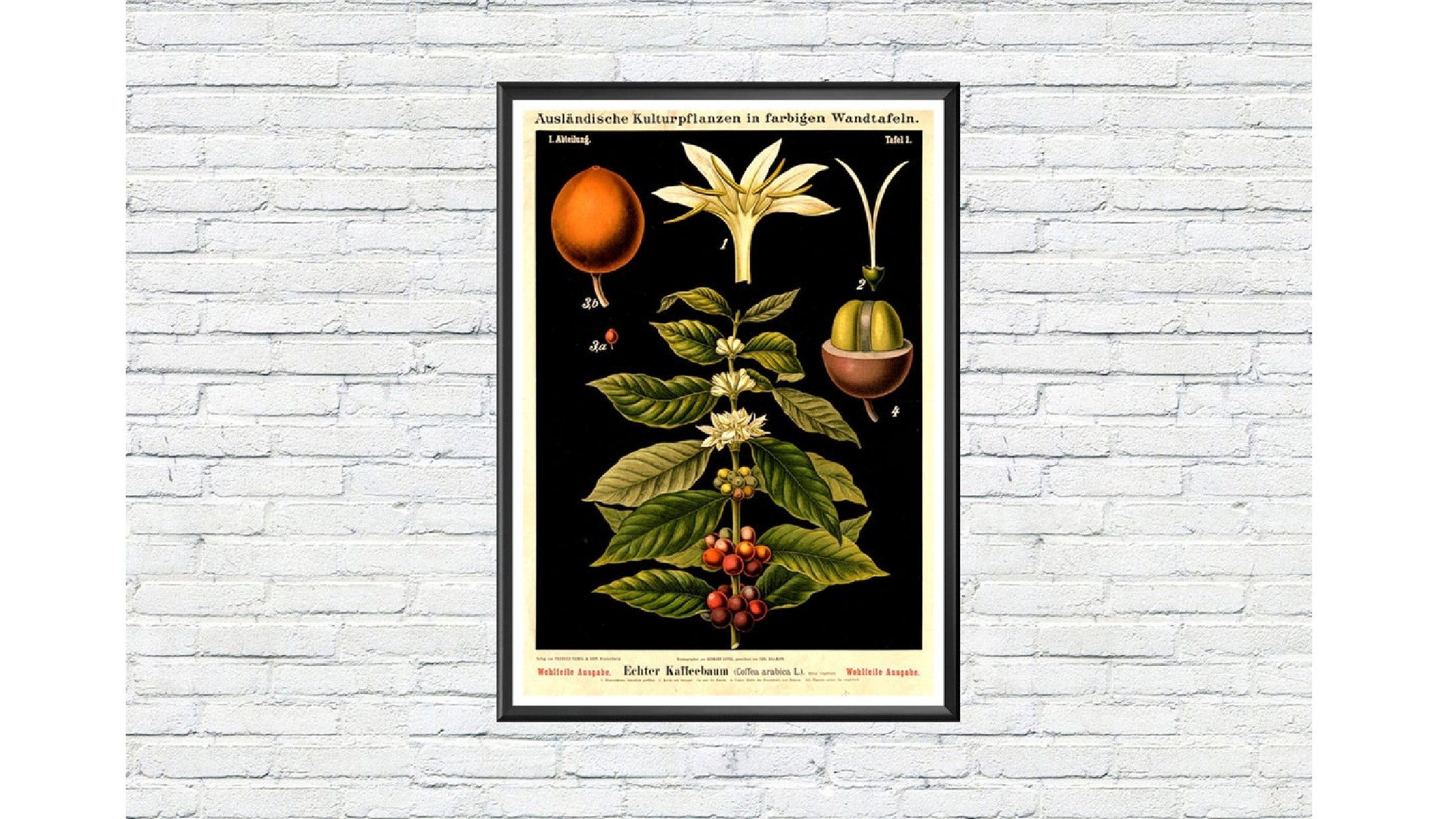 coffee.jpg