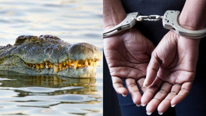 child dies crocodile-infested waters
