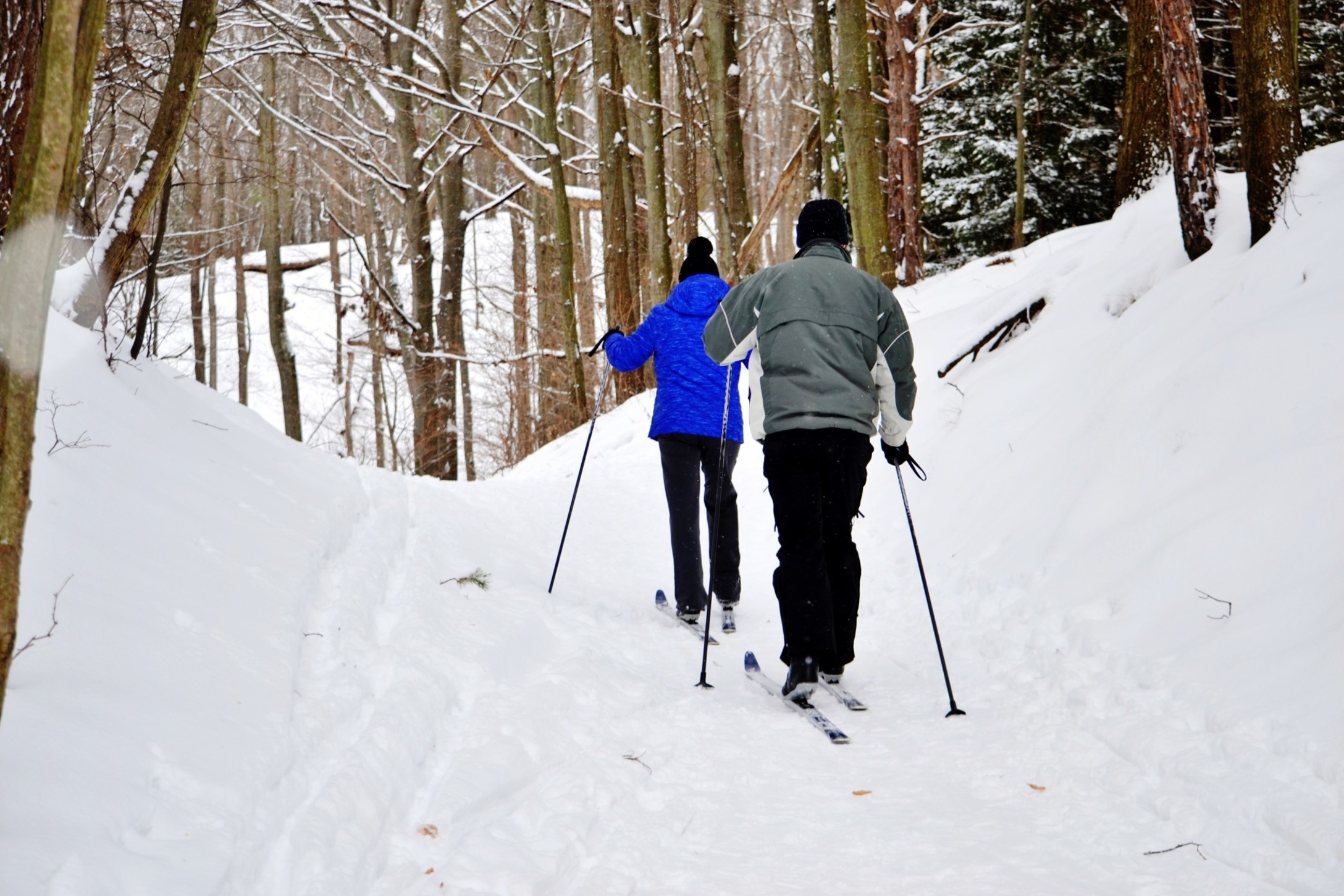 cross-country-skiing_t20_AeKWaP.jpg