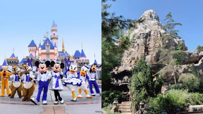 Disneyland matterhorn bobsleds