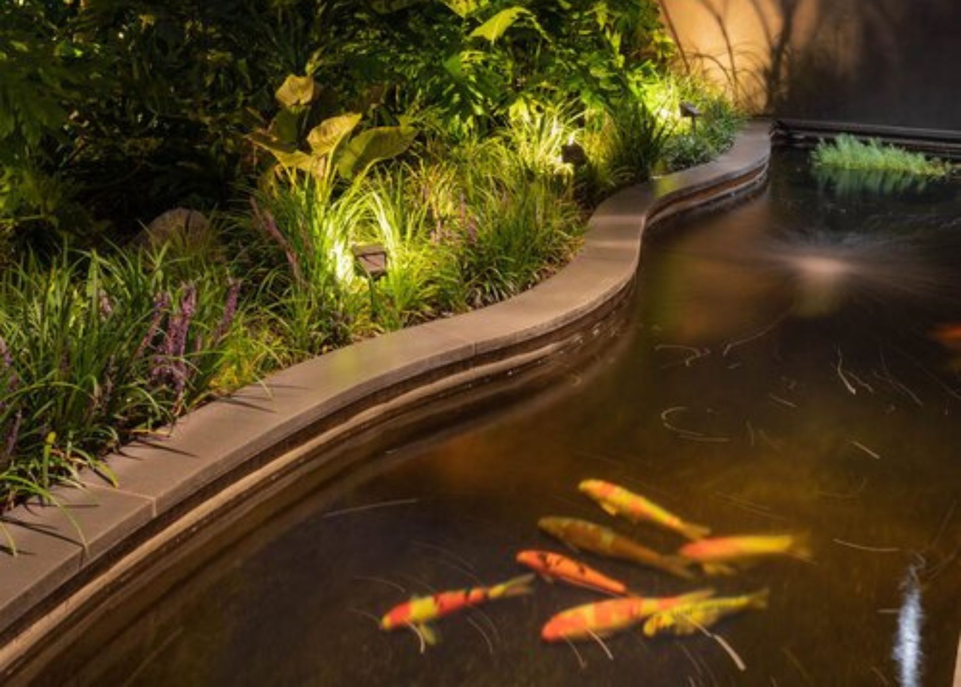 ellen_degeneres_home_koi_pond.jpg