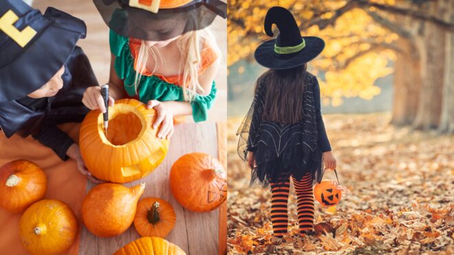 fall safety