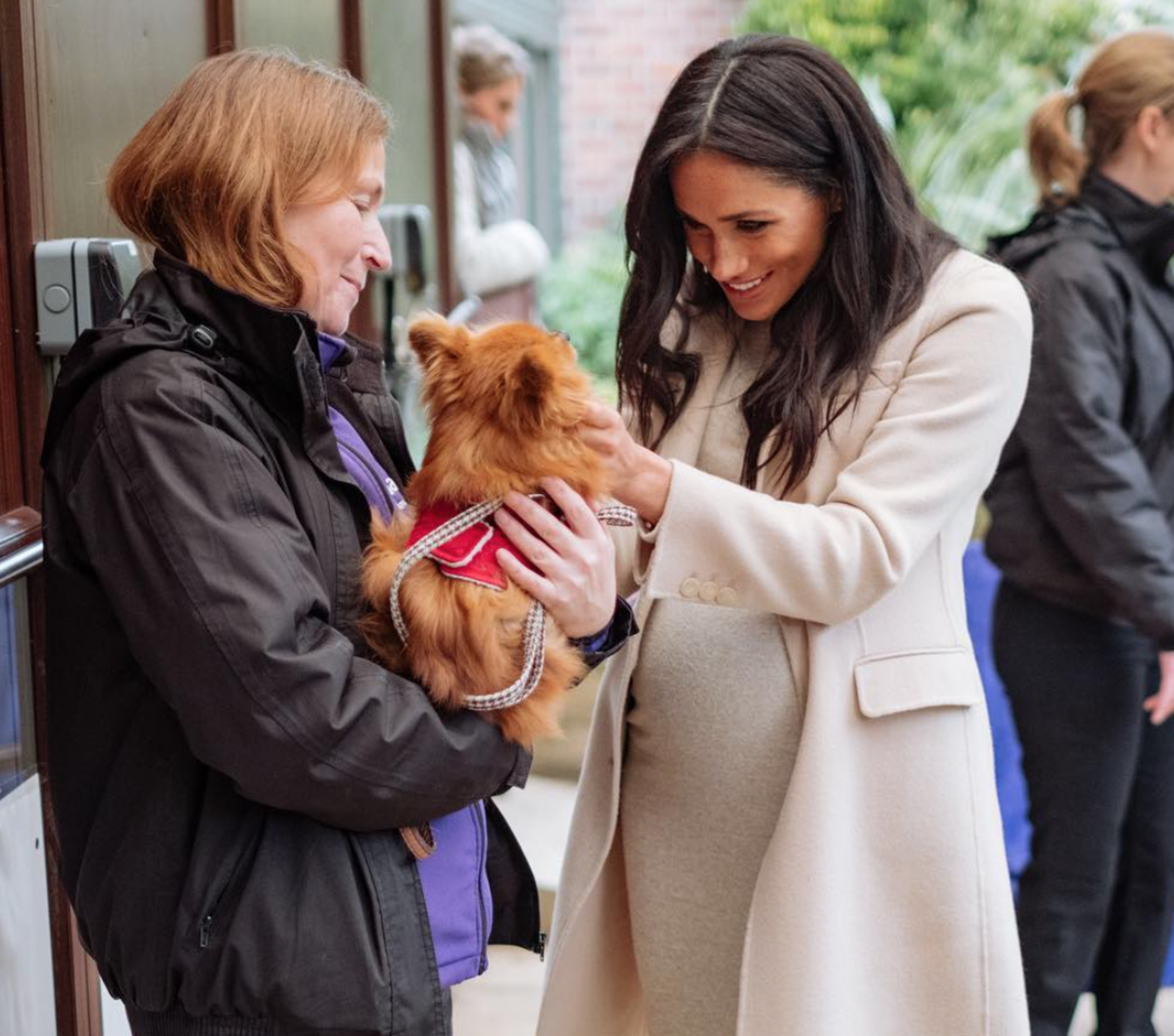 Meghan Markle dog