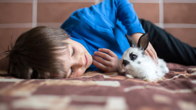 child playing with a bunny