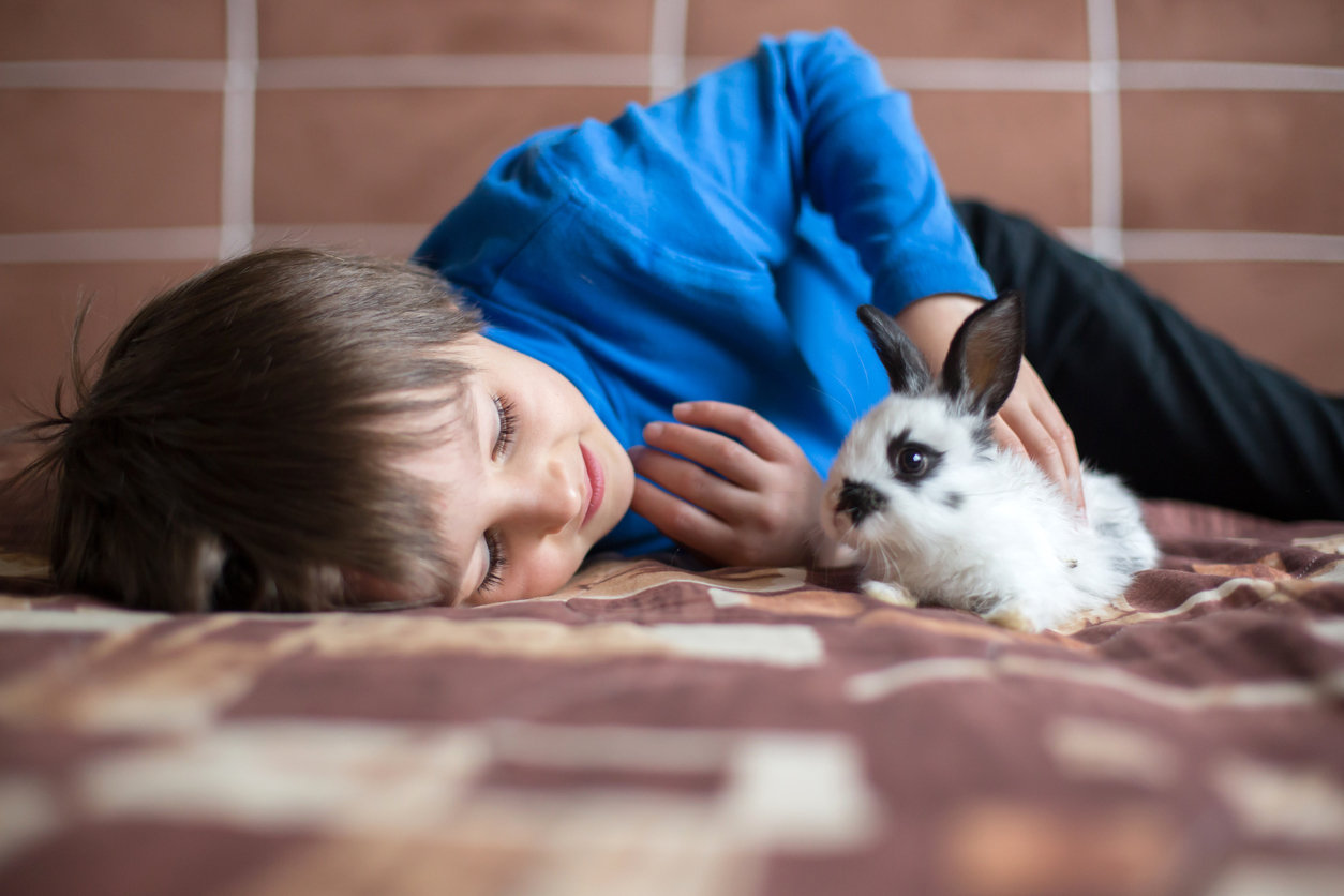child playing with a bunny