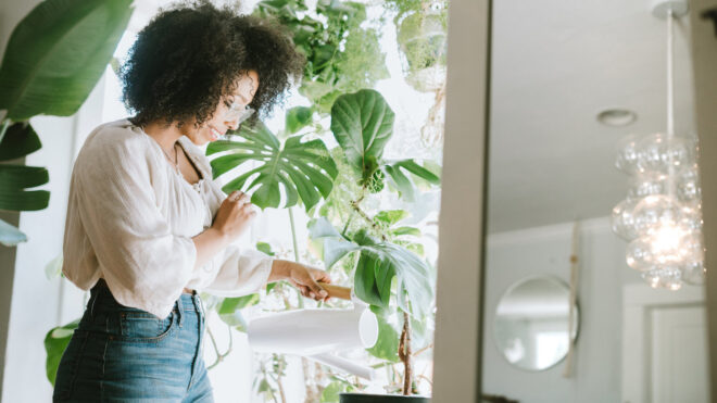PickUp Some Houseplants