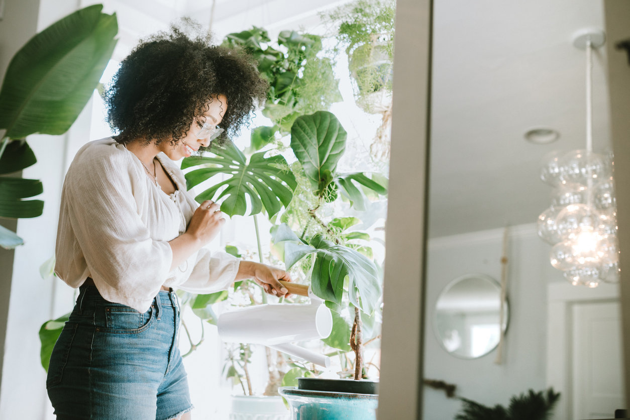 PickUp Some Houseplants
