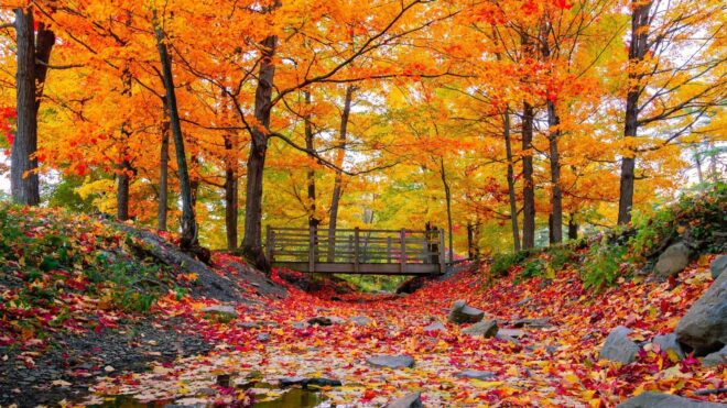 15 Road-Trip Stops to See the Best Autumn Colors