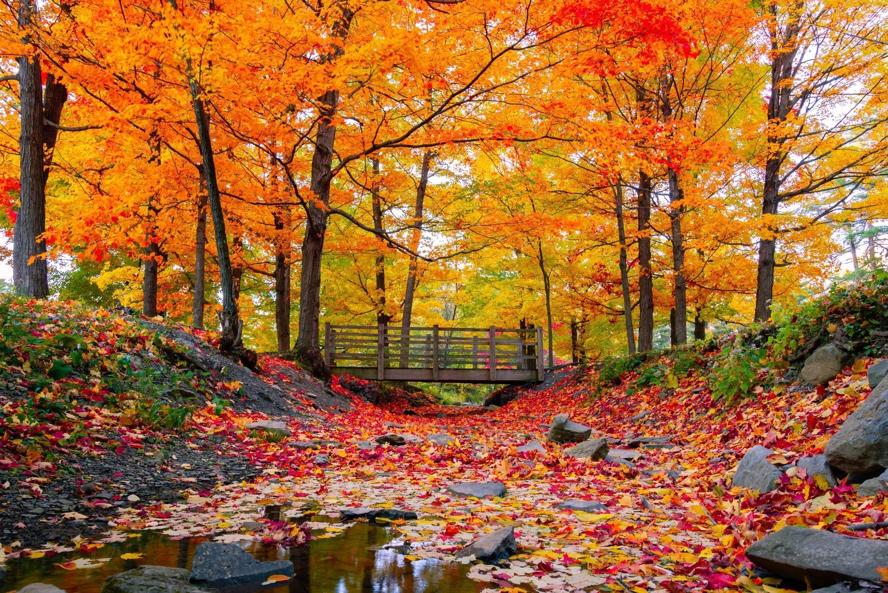 15 Road-Trip Stops to See the Best Autumn Colors