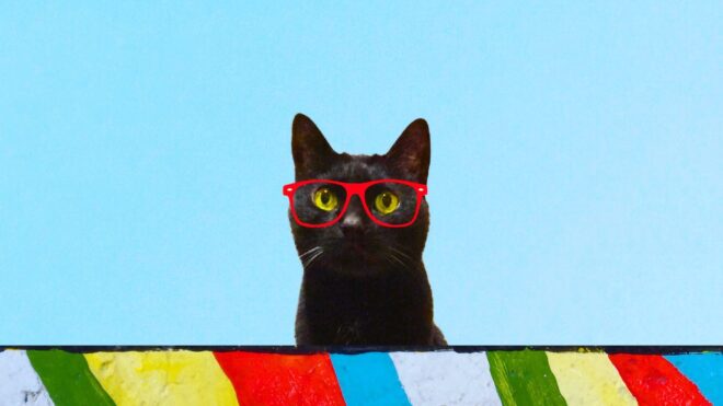 15 Times Black Cats Were Too Busy Being Cute to Be a Superstition
