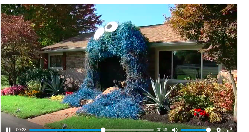 Cookie Monster doorway