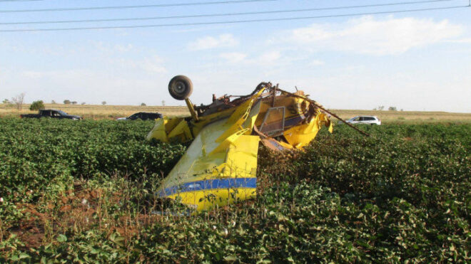 gender reveal plane crashes