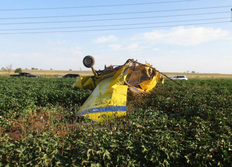 gender reveal plane crashes