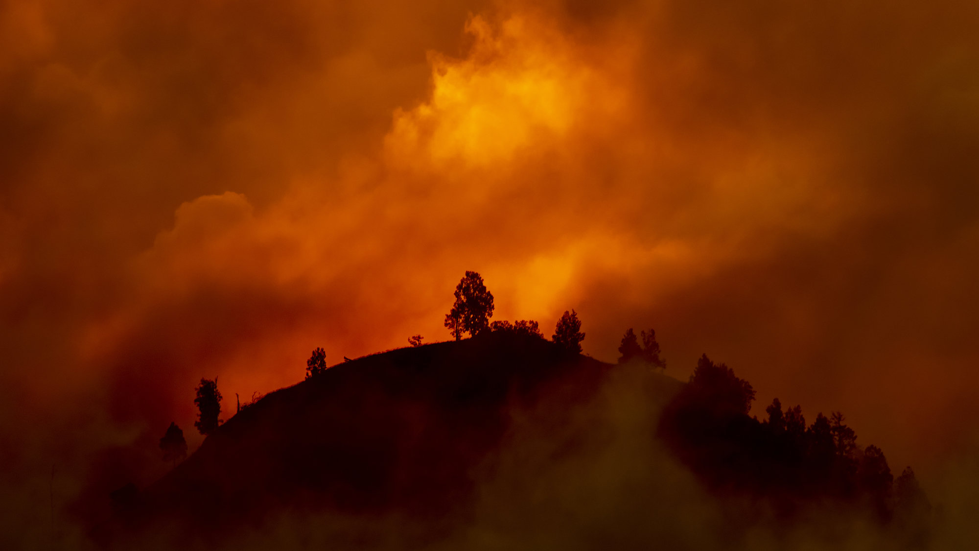 Australian brushfires