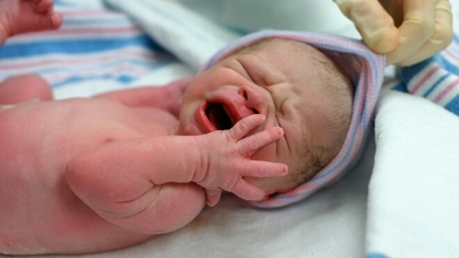 Newborn
