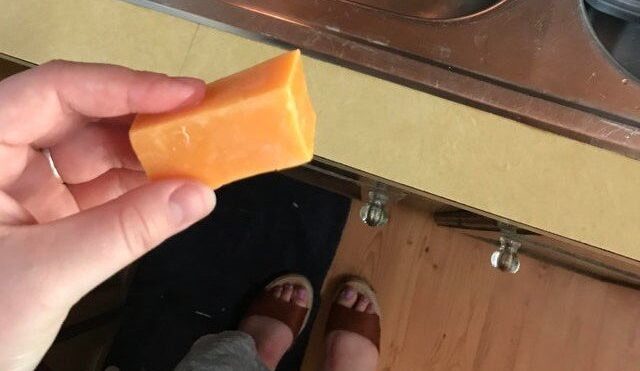 cheese soap