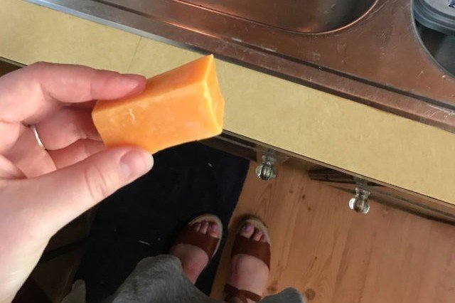 cheese soap