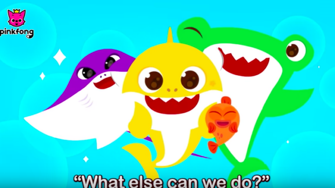 baby shark