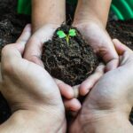 featured-img-of-post-224422