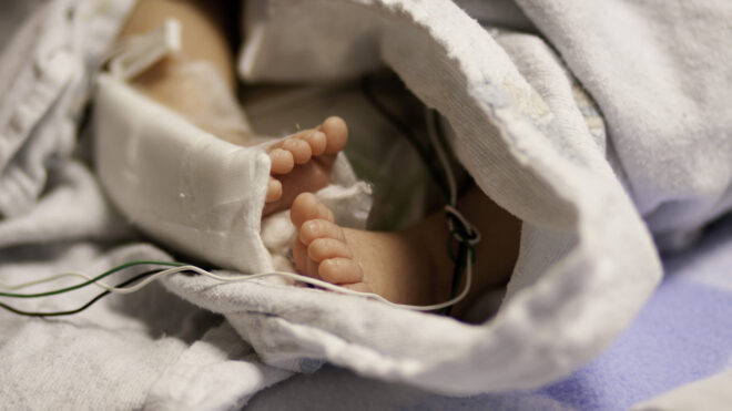 baby feet