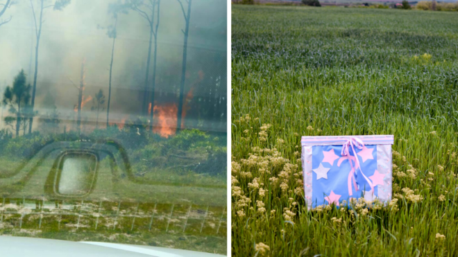 A bush fire in Florida