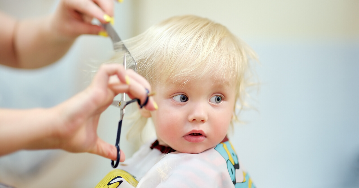 boy getting his haircut