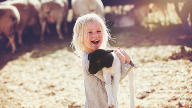girl holding a lamb