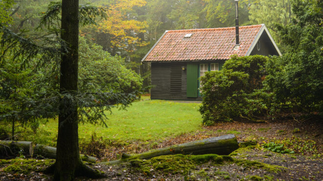 Cabin in woods