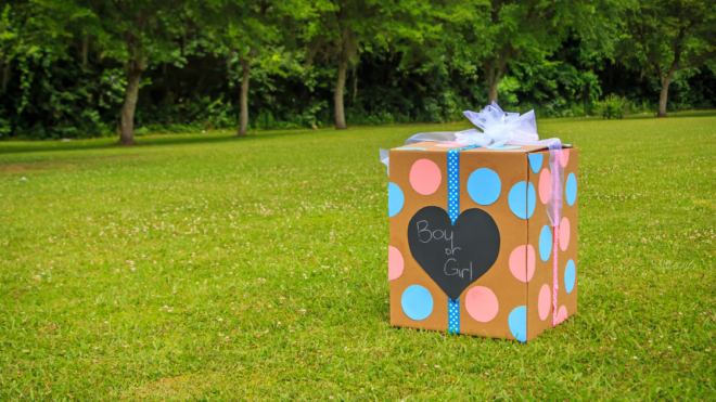 gender reveal box