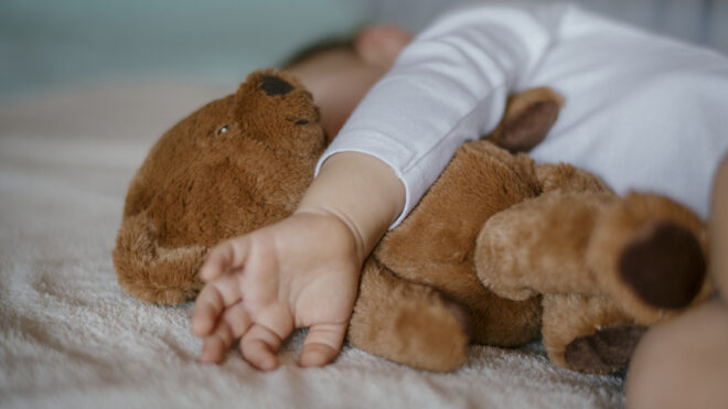 baby bear