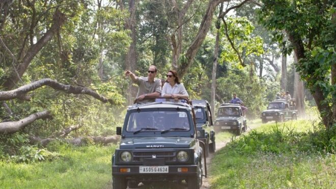 William and Kate on safari