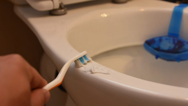 Cleaning the toilet with a toothbrush