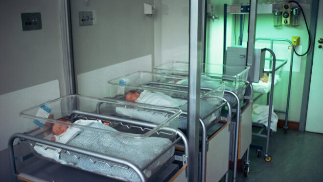 Babies in maternity ward