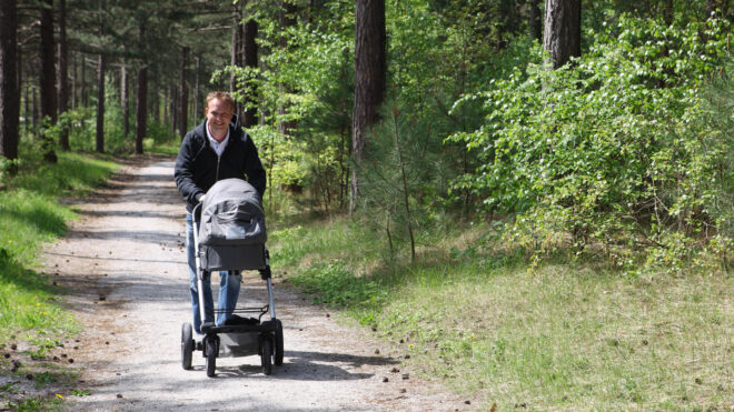 dad stroller