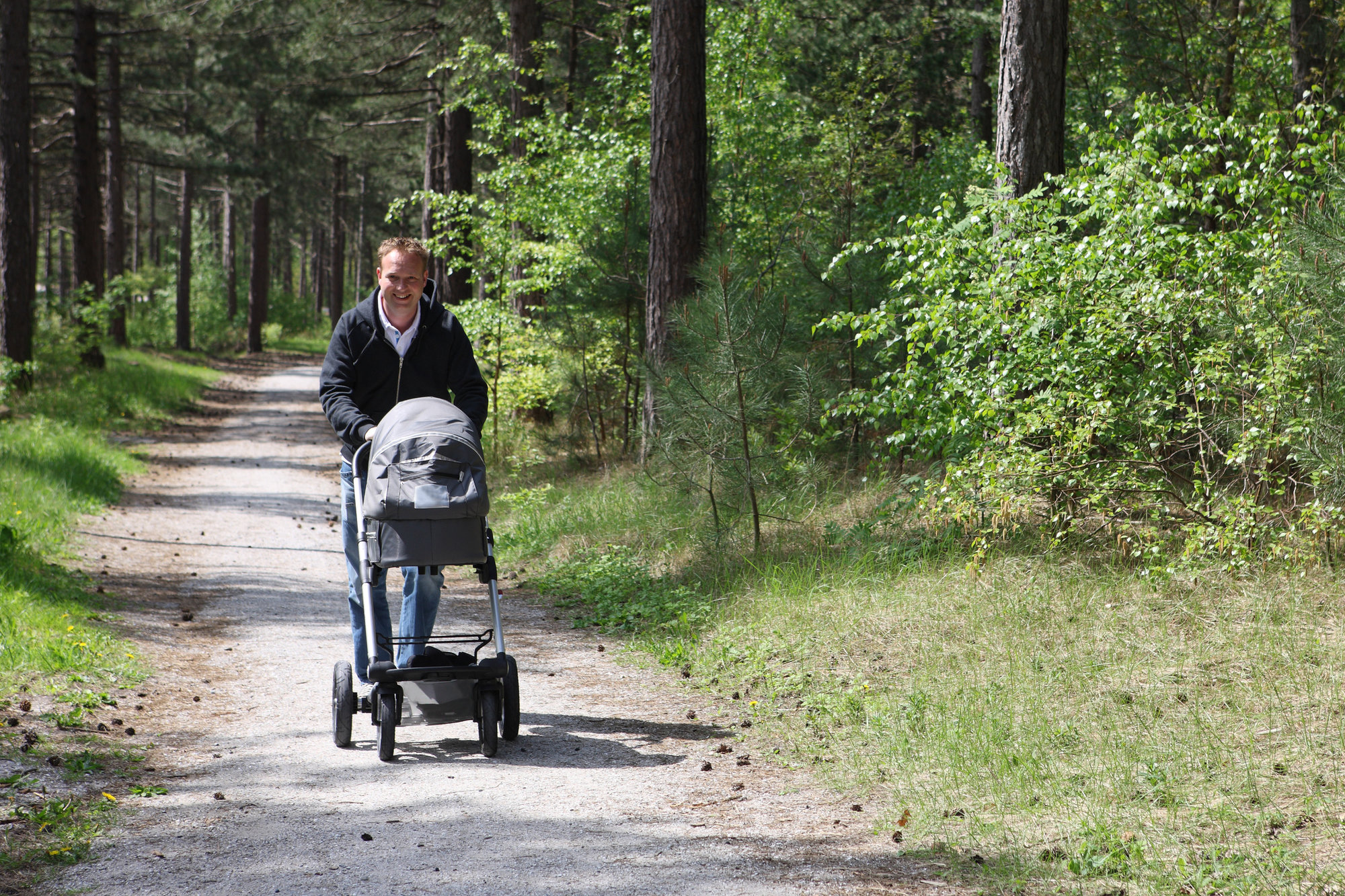 dad stroller