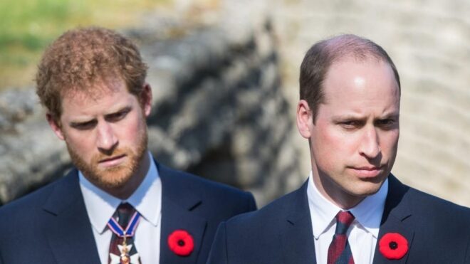 Prince Harry and Prince William