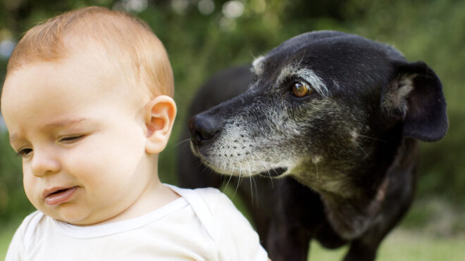 Baby and dog