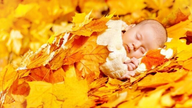 newborn in the fall leaves