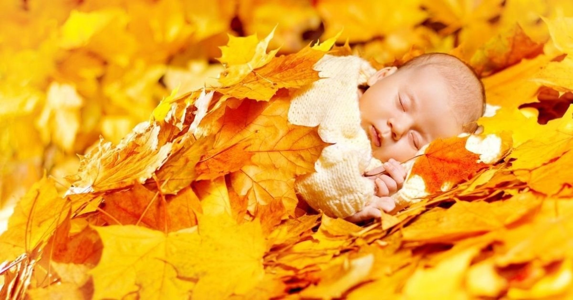newborn in the fall leaves