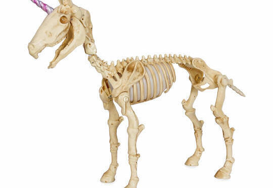 unicorn skeleton decoration