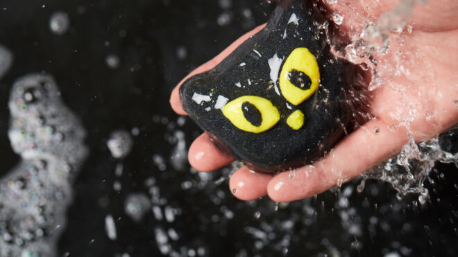 Lush cat bath bomb