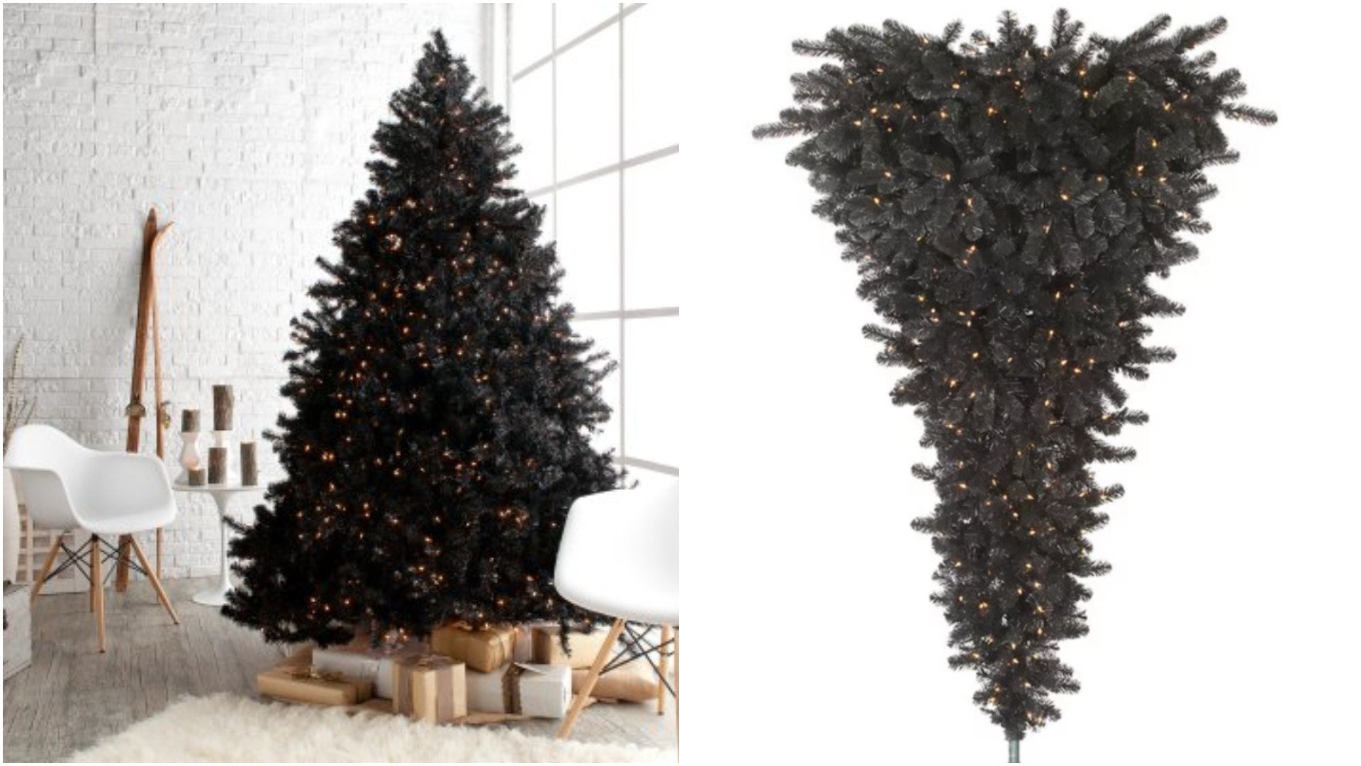 Best black Christmas trees