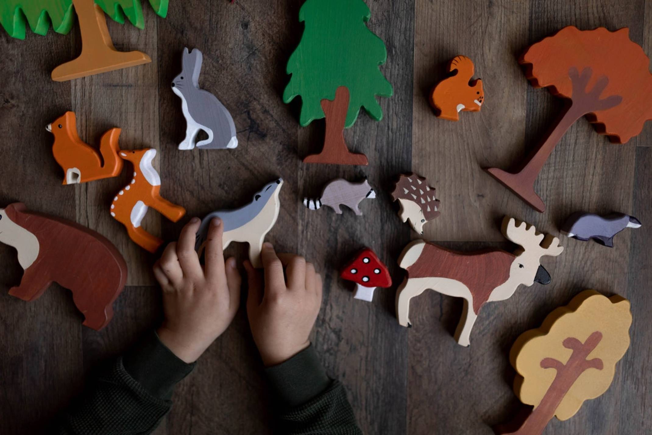 forest animals