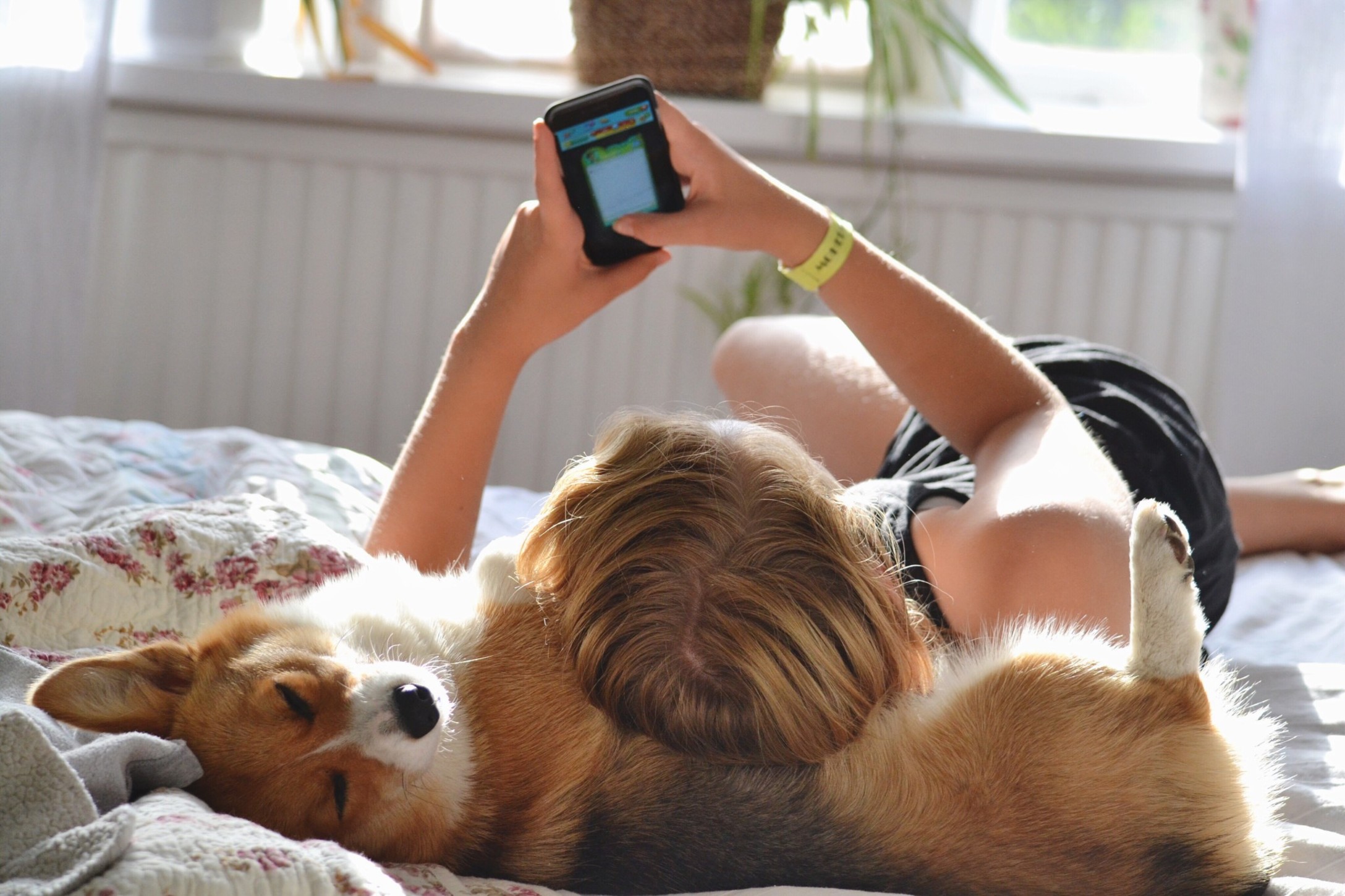 girl-using-her-phone-laying-in-bed-and-have-her-dog-as-a-pillow_t20_9JOJdy.jpg