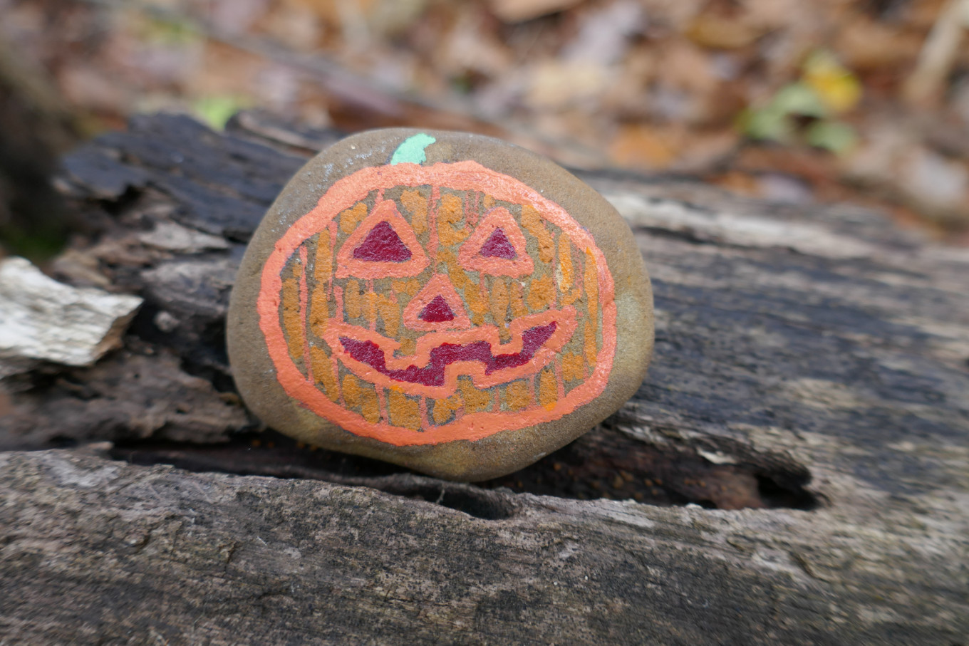halloween_craft_-_painting_rocks.jpg